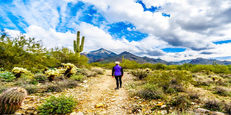 33% more visits to the 2nd largest urban-adjacent park in the United States