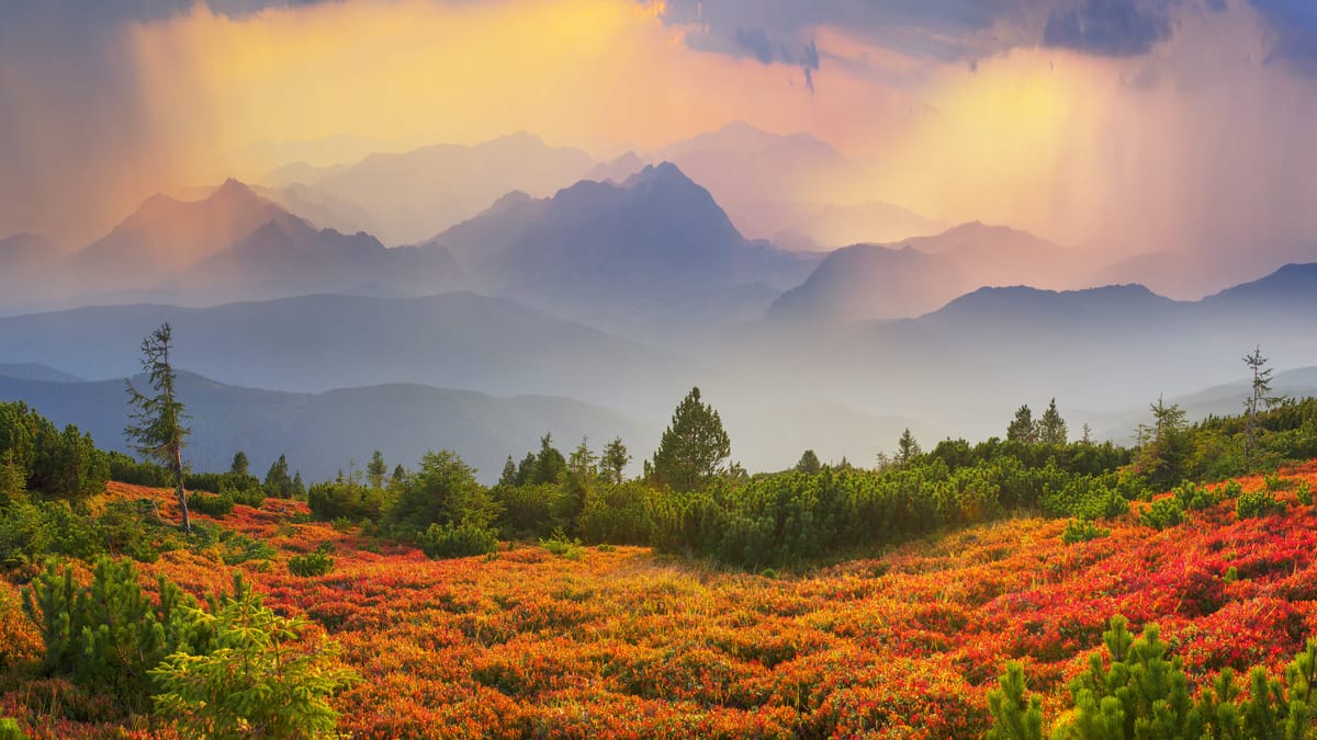 Environmental Sustainability Pledge