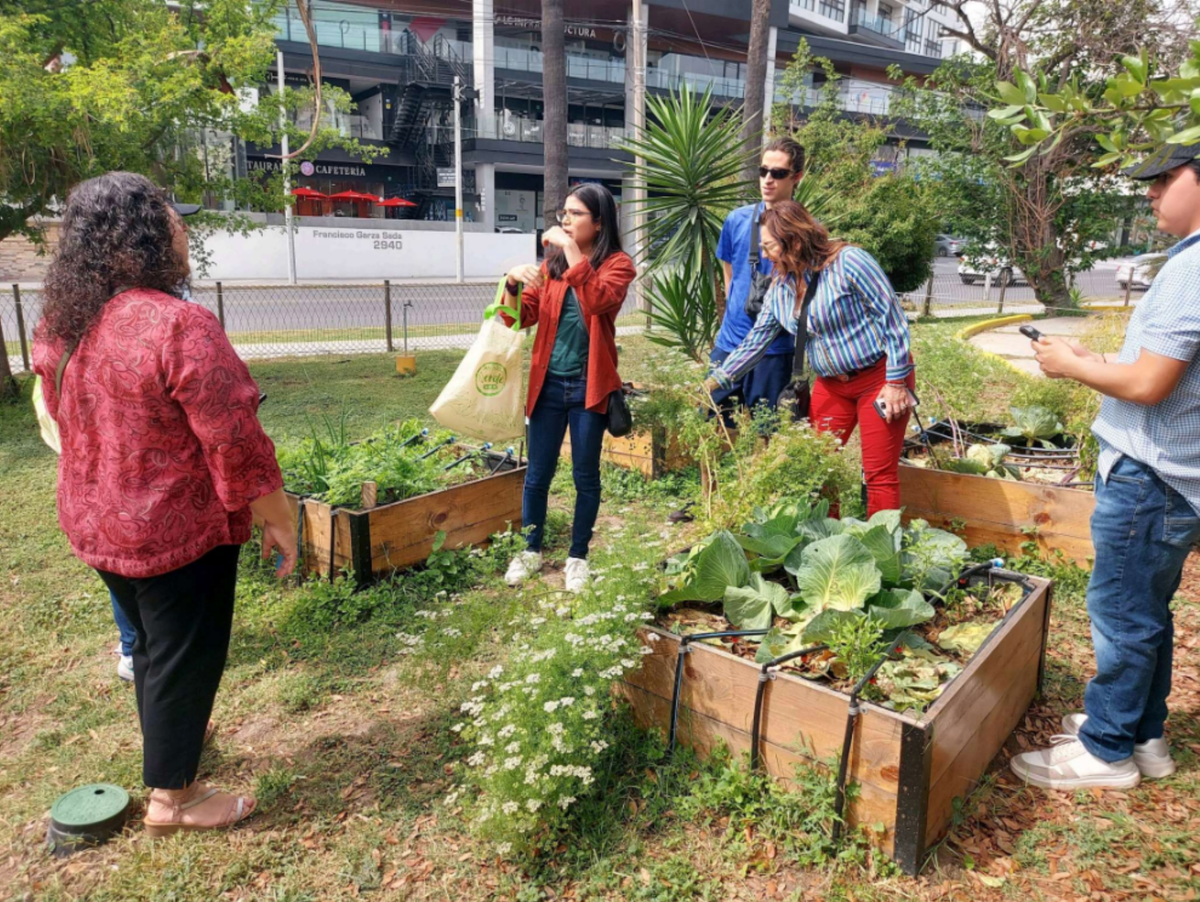 Bringing Parks to Life in Monterrey, Mexico with Data-Driven Design