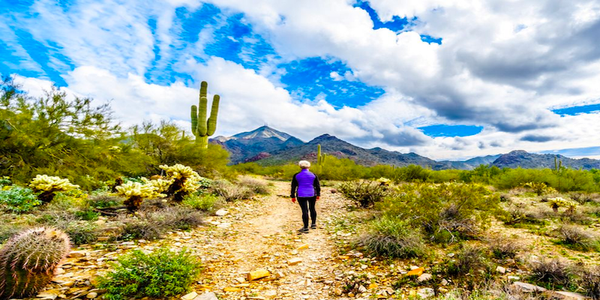 33% more visits to the 2nd largest urban-adjacent park in the United States